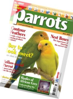 Parrots – June 2016