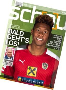 Schau – Nr.2, 2016