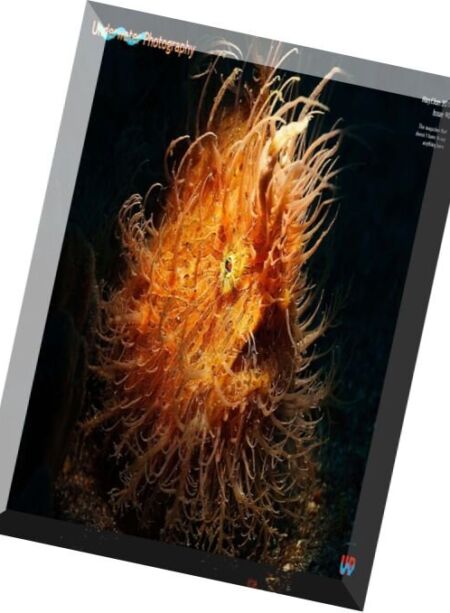 Underwater Photography – May-June 2016 Cover