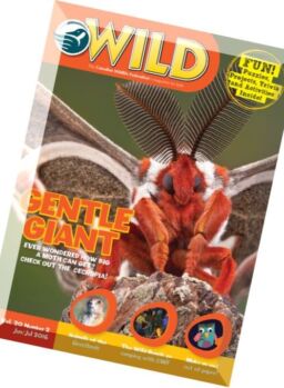 WILD – June-July 2016