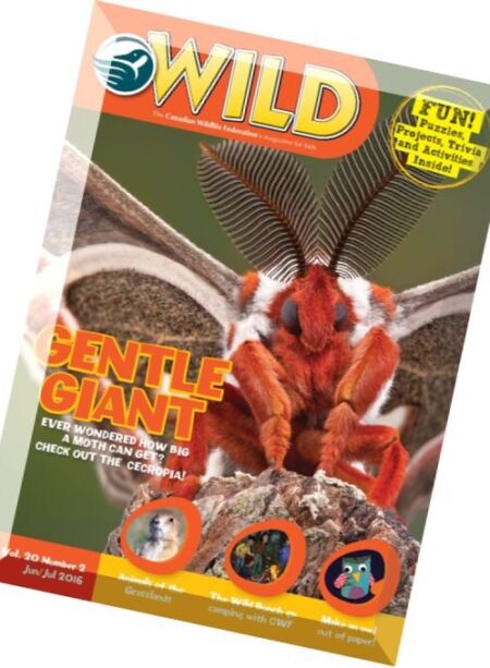 WILD – June-July 2016 Cover