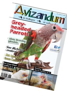 Avizandum – June 2016