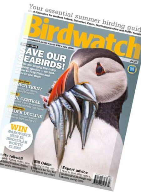 Birdwatch – July 2016 Cover