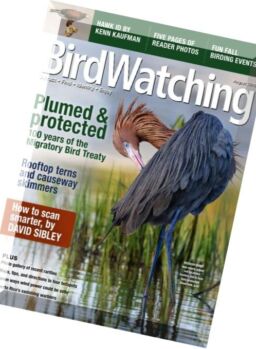 BirdWatching – July-August 2016