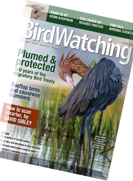 BirdWatching – July-August 2016 Cover