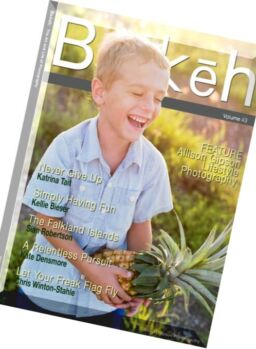 Bokeh – Volume 43, 2016