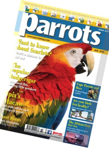 Parrots – July 2016 Cover