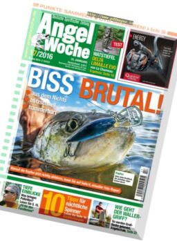 Angel Woche – 29 Juli 2016