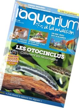 Aquarium a la Maison – Juillet-Aout 2016