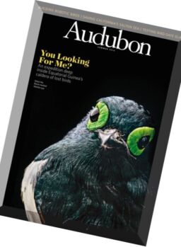 Audubon – Summer 2016