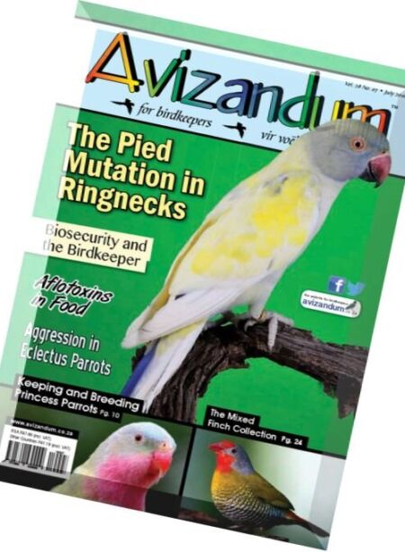 Avizandum – July 2016 Cover