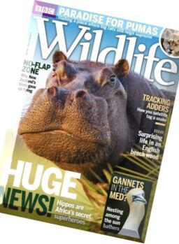 BBC Wildlife – July 2016