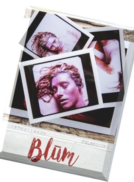 Blum Magazine – Issue 4, 2016 Cover