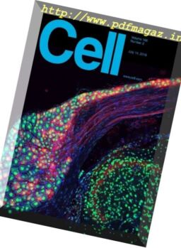 Cell – 14 July 2016