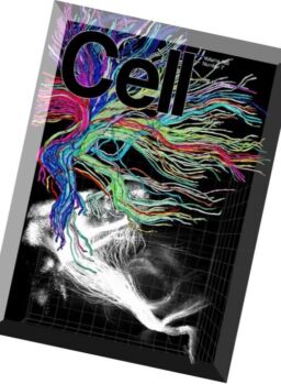 Cell – 16 June 2016