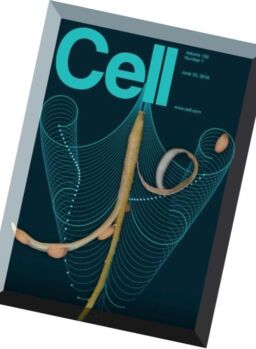 Cell – 30 June 2016