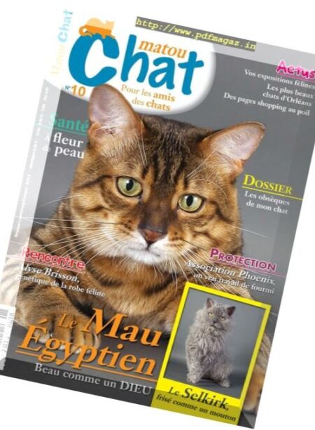 Matou Chat – Fevrier-Mars 2016 Cover