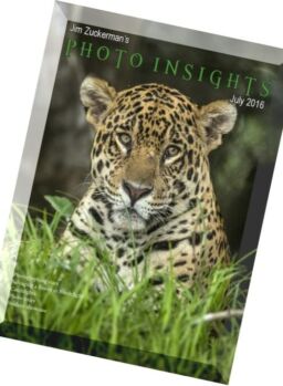 Photo Insights – July 2016