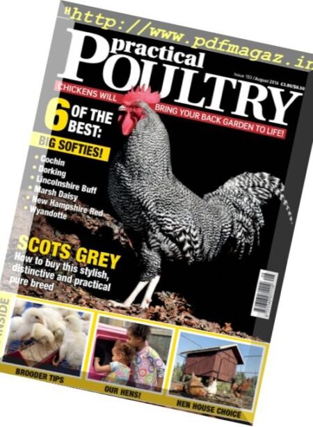 Practical Poultry – August 2016 Cover
