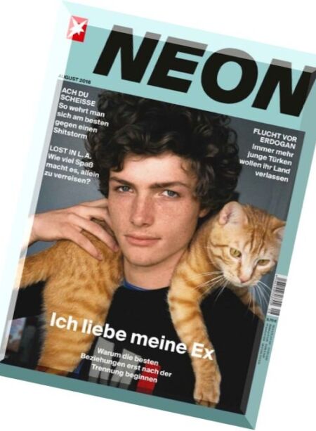 Stern Neon – August 2016 Cover