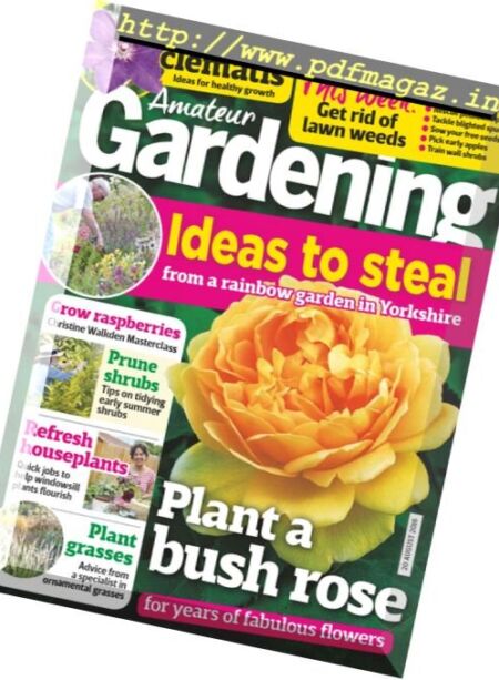 Amateur Gardening – 20 August 2016 Cover