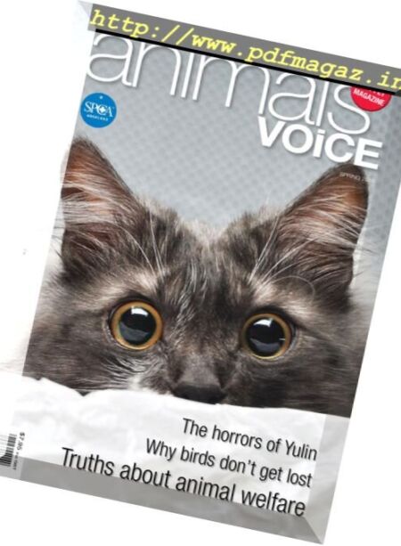 Animals’ Voice – Spring 2016 Cover
