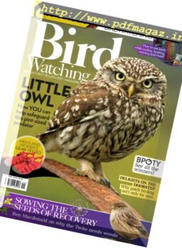 Bird Watching UK – Autumn 2016