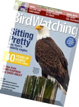 BirdWatching – October 2016