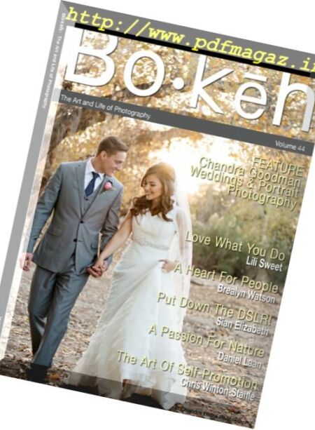 Bokeh – Vol. 44, 2016 Cover