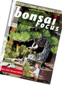 Bonsai Focus Italia – Luglio-Agosto 2016