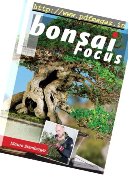 Bonsai Focus – Septembre-Octobre 2016 (French Edition) Cover