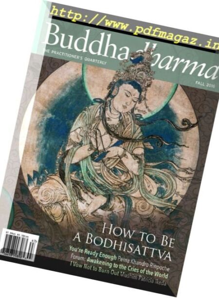 Buddhadharma – Fall 2016 Cover