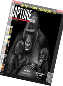Capture Mania Photography – June-July 2016