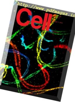 Cell – 11 August 2016