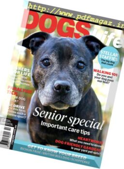 Dogs Life – September-October 2016