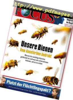 Focus – N 32, 6 August 2016