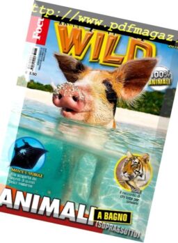 Focus Wild – Settembre 2016