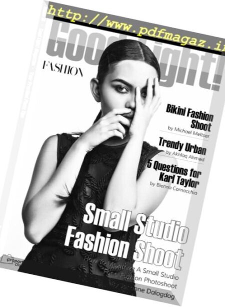 Good Light! – Issue 31, 2016 Cover