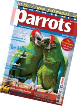 Parrots – September 2016