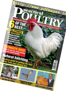 Practical Poultry – September 2016