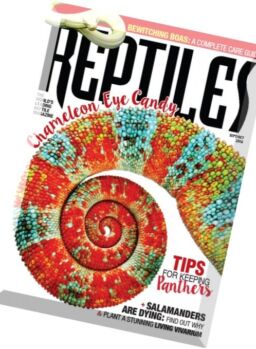 Reptiles – September-October 2016
