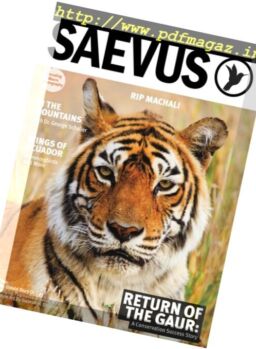 Saevus – September-November 2016