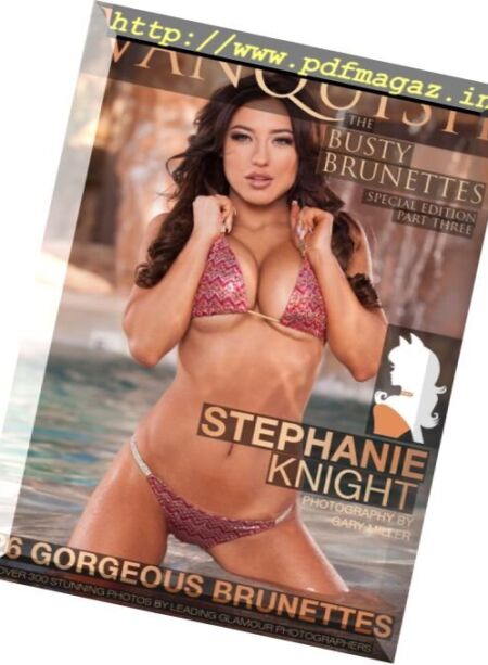Vanquish Magazine – Busty Brunettes 2016 (Part 3) Cover
