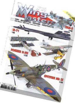 Wing Masters – N 95, Jilliet-Aout 2013