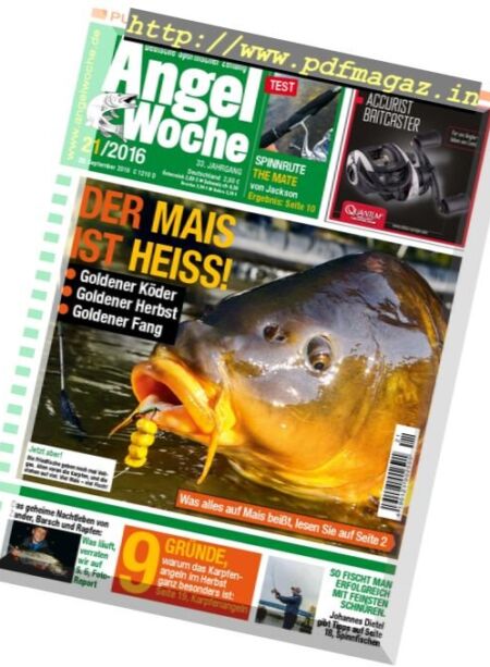 Angel Woche – 23 September 2016 Cover