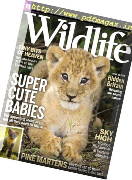 BBC Wildlife – October 2016 Cover