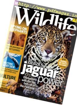 BBC Wildlife – September 2016