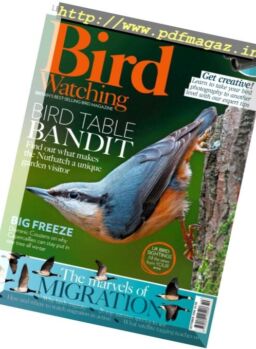 Bird Watching UK – October 2016