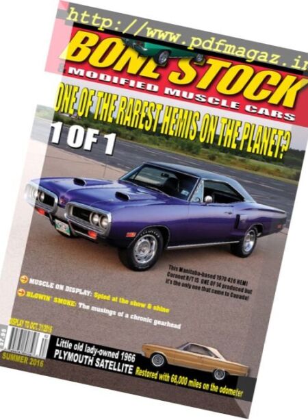 Bone Stock – Summer 2016 Cover