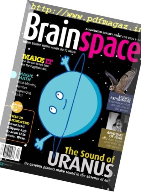 Brainspace – Fall 2016 Cover